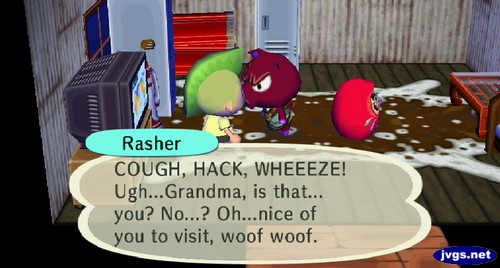 Rasher: COUGH, HACK, WHEEEZE! Ugh...Grandma, is that... you? No...? Oh...nice of you to visit, woof woof.