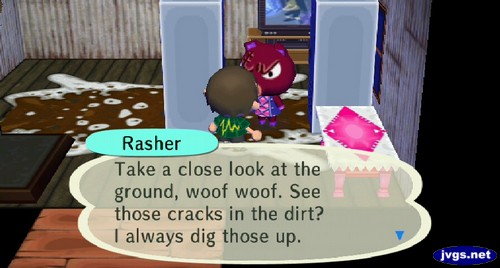 Rasher: Take a close look at the ground, woof woof. See those cracks in the dirt? I always dig those up.