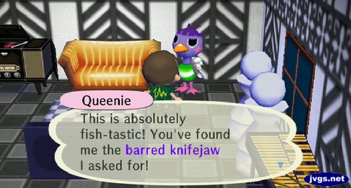 Queenie: This is absolutely fish-tastic! You've found me the barred knifejaw I asked for!