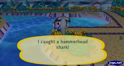 I caught a hammerhead shark!