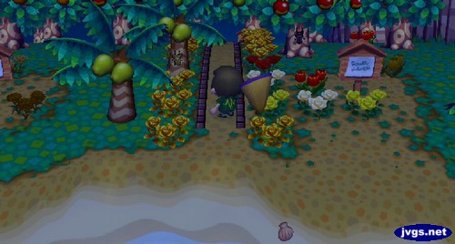 A golden stag and giant beetle on nearby trees in ACCF.