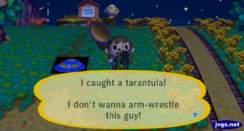 I caught a tarantula! I don't wanna arm-wrestle this guy!