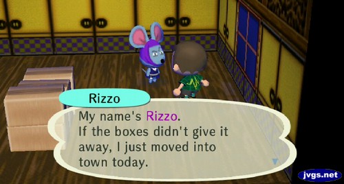Rizzo: My name's Rizzo. If the boxes didn't give it away, I just moved into town today.