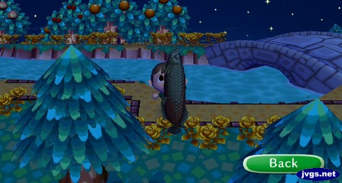 Showing off an arapaima I caught.