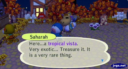 Saharah: Here...a tropical vista. Very exotic... Treasure it. It is a very rare thing.