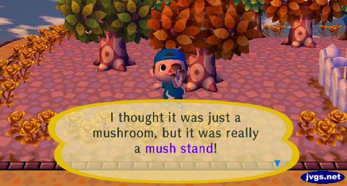 I thought it was just a mushroom, but it was really a mush stand!