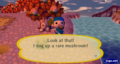 Look at that! I dug up a rare mushroom!