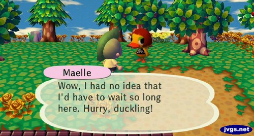 Maelle: Wow, I had no idea that I'd have to wait so long here. Hurry, duckling!