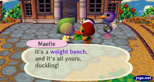 Maelle: It's a weight bench, and it's all yours, duckling!