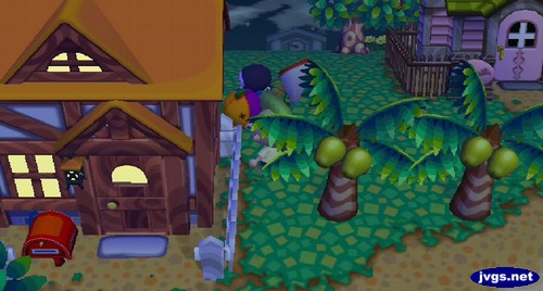 Stitches peeks out from behind Scott's house.