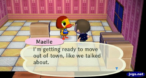 Maelle: I'm getting ready to move out of town, like we talked about.