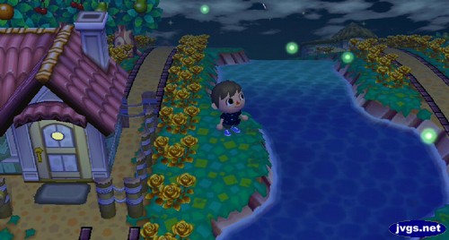 Four fireflies by the river in Animal Crossing: City Folk (ACCF).