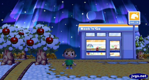 The northern lights over Nook 'n' Go.