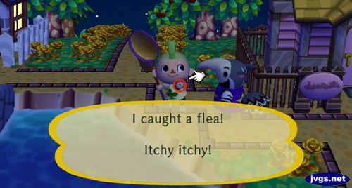 I caught a flea! Itchy itchy!