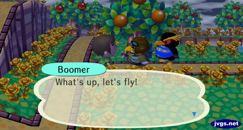 Boomer: What's up, let's fly!