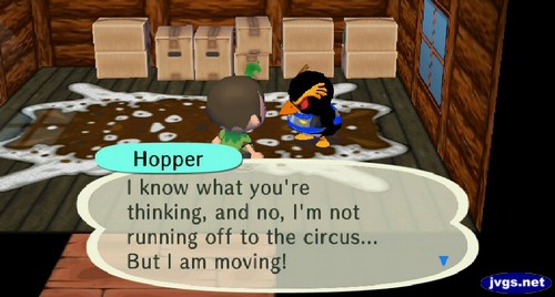 Hopper: I know what you're thinking, and no, I'm not running off to the circus... But I am moving!