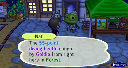 Nat: The 55-point diving beetle caught by Goldie from right here in Forest.