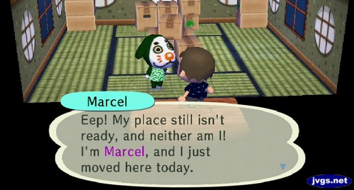 Marcel: Eep! My place still isn't ready, and neither am I! I'm Marcel, and I just moved here today.