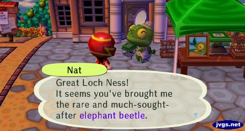 Nat: Great Loch Ness! It seems you've brought me the rare and much-sought-after elephant beetle.