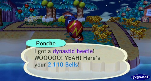 Poncho: I got a dynastid beetle! WOOOOO! YEAH! Here's your 2,110 bells!