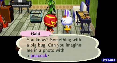 Gabi: You know? Something with a big bug! Can you imagine me in a photo with a peacock?