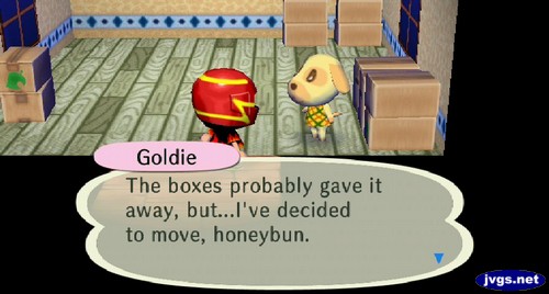 Goldie: The boxes probably gave it away, but...I've decided to move, honeybun.