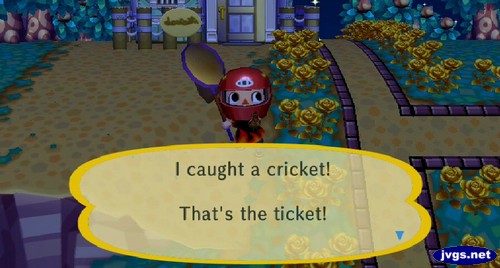 I caught a cricket! That's the ticket!