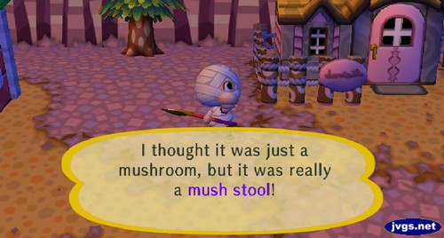 I thought it was just a mushroom, but it was really a mush stool!