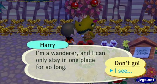 Harry: I'm a wanderer, and I can only stay in one place for so long.