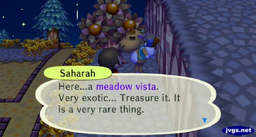 Saharah: Here...a meadow vista. Very exotic... Treasure it. It is a very rare thing.