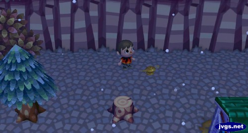 Finding Wisp's lamp in Animal Crossing: City Folk.