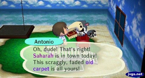 Antonio: Oh, dude! That's right! Saharah is in town today! This scraggly, faded old carpet is all yours!