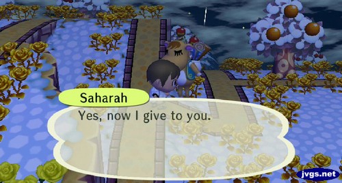 Saharah: Yes, now I give to you.