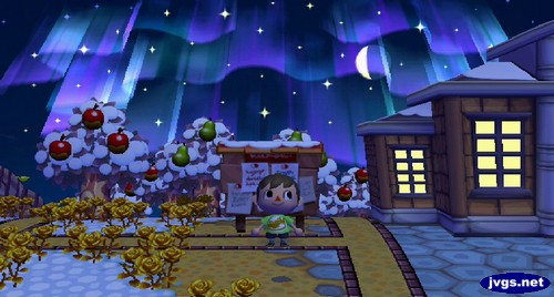 The northern lights shine above town hall in Forest (ACCF).