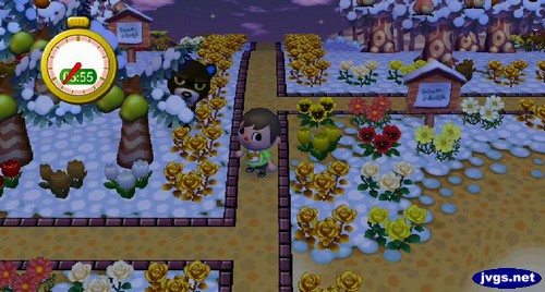 Grizzly tries to hide behind a palm tree during a game of hide and seek in Animal Crossing: City Folk on Wii.