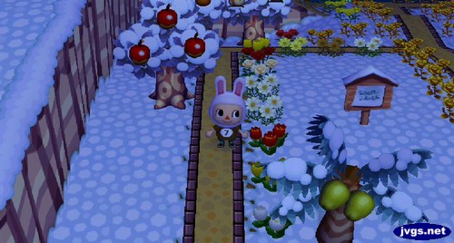 My regrown grass in the southwest part of town.