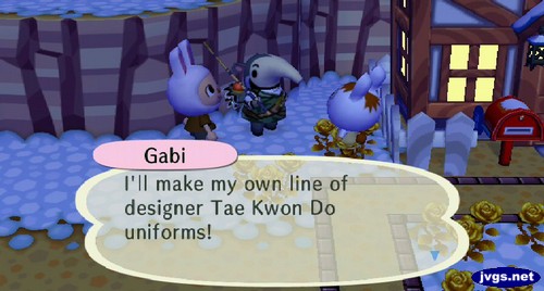 Gabi: I'll make my own line of designer Tae Kwon Do uniforms!
