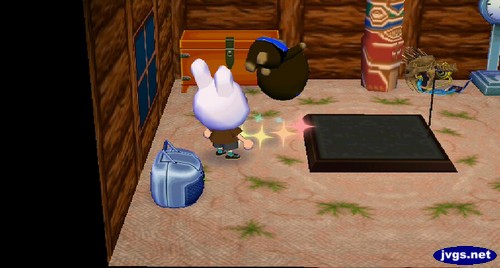 Grizzly flips as he takes his medicine.