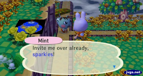 Mint: Invite me over already, sparkles!