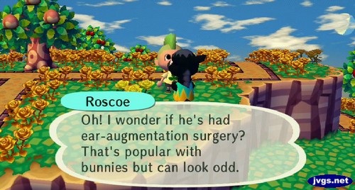 Roscoe: Oh! I wonder if he's had ear-augmentation surgery? That's popular with bunnies but can look odd.
