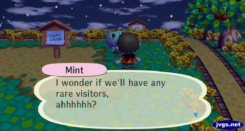 Mint: I wonder if we'll have any rare visitors, ahhhhhh?