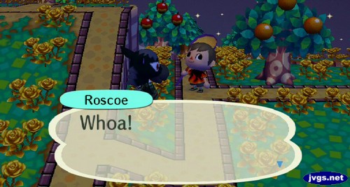 Roscoe: Whoa!