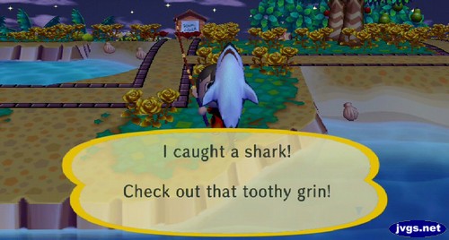 I caught a shark! Check out that toothy grin!