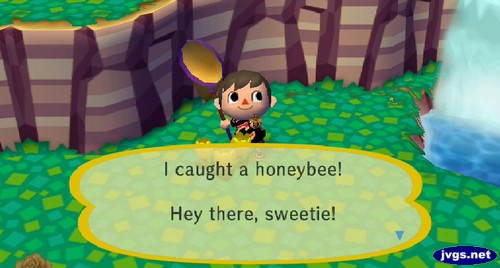 I caught a honeybee! Hey there, sweetie!