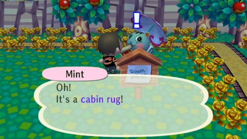 Mint: Oh! It's a cabin rug!