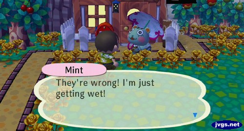 Mint: They're wrong! I'm just getting wet!