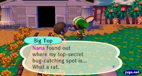 Big Top: Nana found out where my top-secret bug-catching spot is... What a rat.