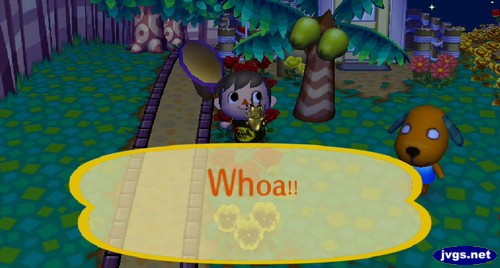 Jeff, after catching a golden stag: Whoa!!