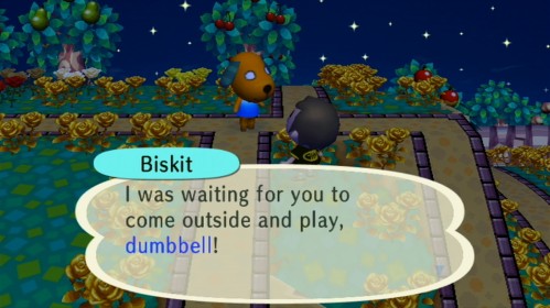 Biskit: I was waiting for you to come outside and play, dumbbell!
