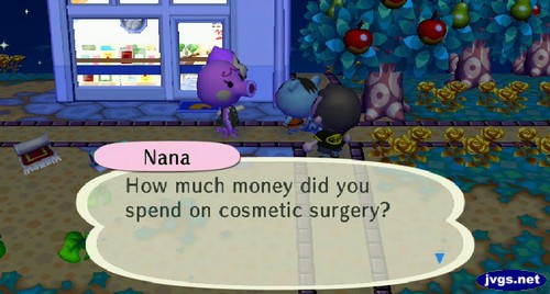 Nana: How much money did you spend on cosmetic surgery?